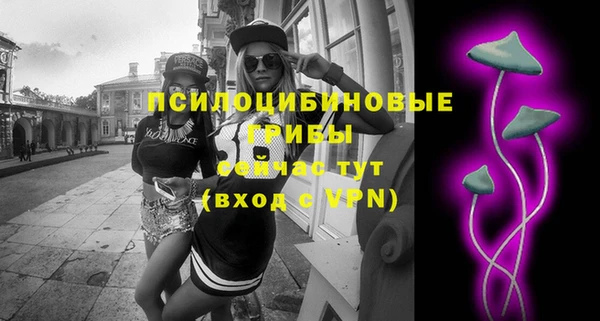 ПСИЛОЦИБИНОВЫЕ ГРИБЫ Балахна