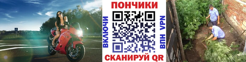 даркнет сайт  Ликино-Дулёво  Канабис семена 